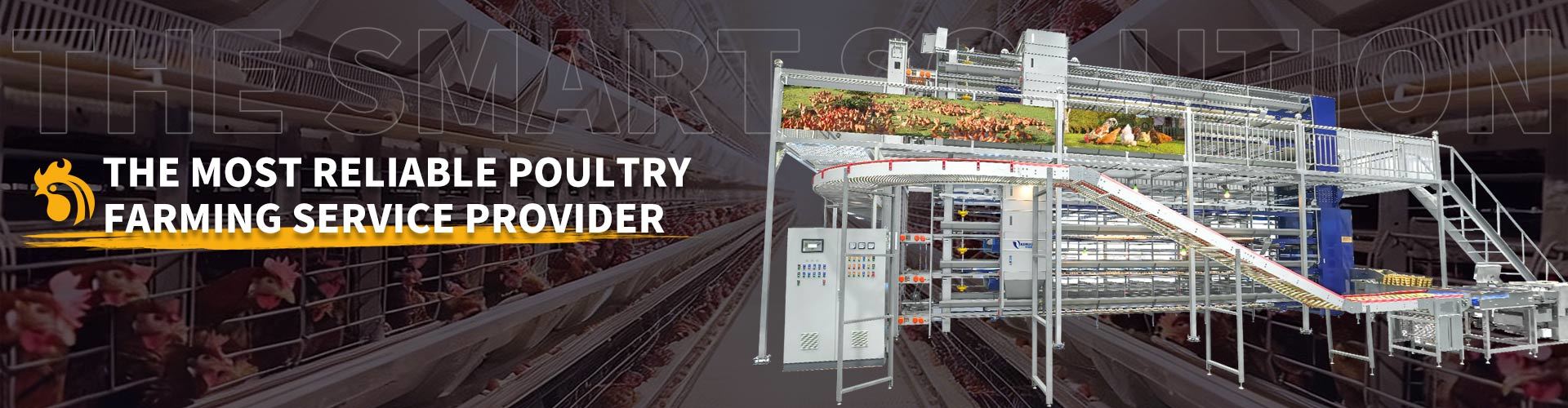 Quality Pig Farming Equipment factory