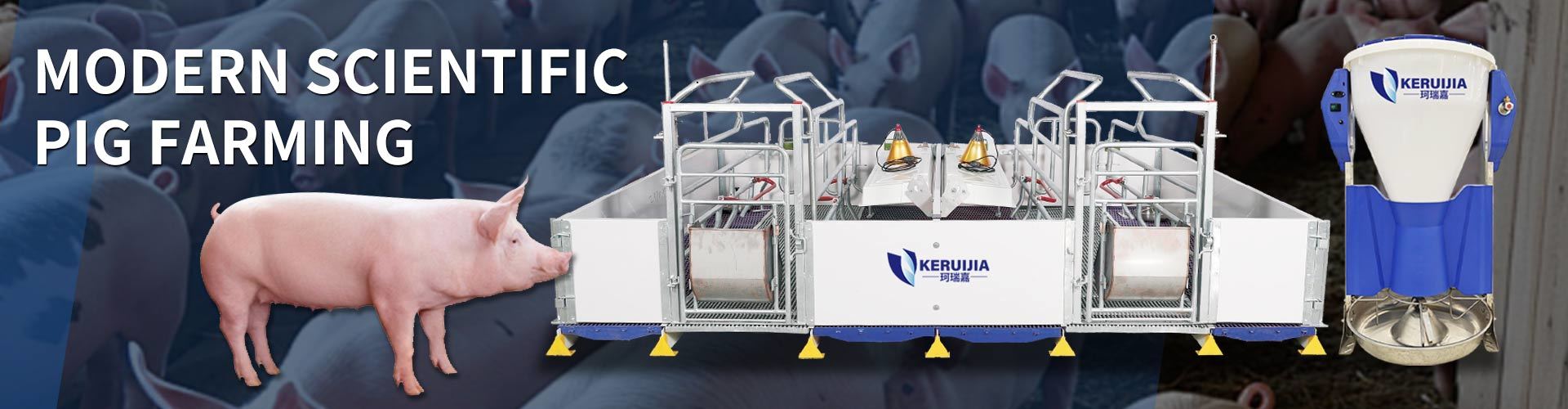 Quality Pig Farming Equipment factory