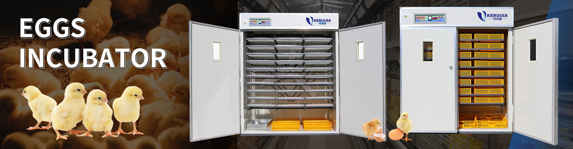 Quality Pig Farming Equipment factory